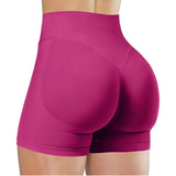 High Waisted Yoga Shorts (Fitness Pants)