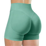 High Waisted Yoga Shorts (Fitness Pants)