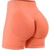 High Waisted Yoga Shorts (Fitness Pants)