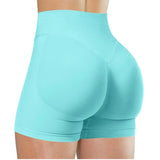 High Waisted Yoga Shorts (Fitness Pants)