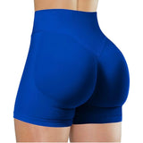 High Waisted Yoga Shorts (Fitness Pants)